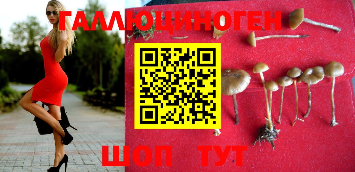 Галлюциногенные грибы GOLDEN TEACHER Мытищи